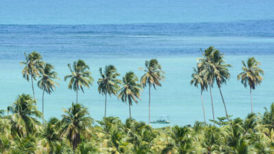 Praia do Toque em São Miguel dos Milagres – AL - Marco AnkosquiMTur - Palmeiras