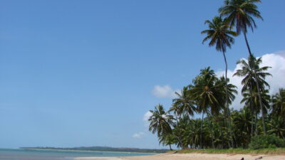 Praia de Bitingui em Japaratinga – AL